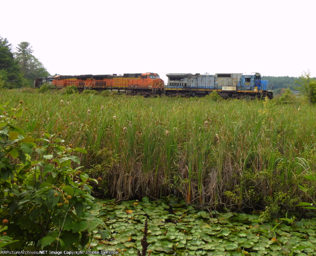 Grain Train on the NEMCO Loop
